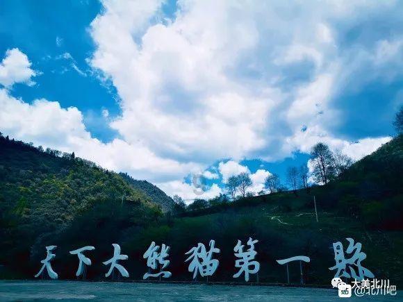 救援蓝色小兔