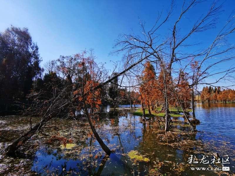 《幻兽帕鲁》29元联机说明